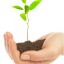 sustentabilidade sustentabilidade