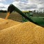 commodity