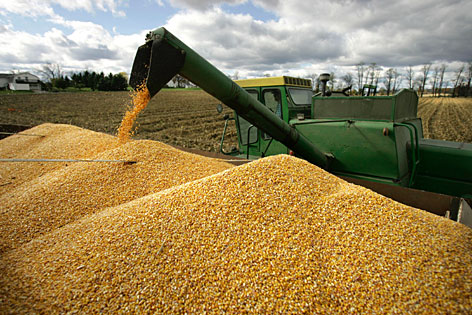 commodity