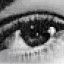 detalhe bitmap detalhe bitmap